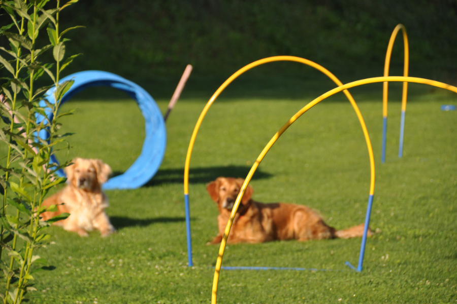 hoopers-levi-sky